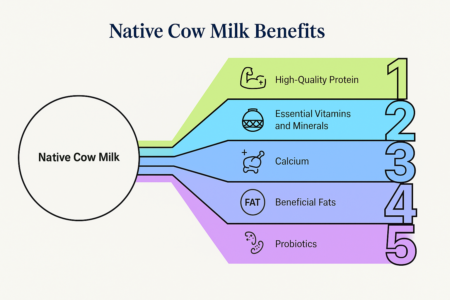 Native Cow Milk Benefits